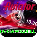antigua hawksbill Premium v4.9.5