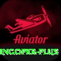 bingopkr VIP Edition v4.7.1