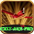 cricket aus Gaming King v2.1.1