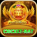 cricket bat Max Pro v3.5.7
