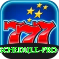 cricket match schedule APK Elite v2.7.3