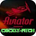 cricket pitch Apps (Tools & Injectors) Gold v2.6.5