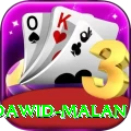 dawid malan Pro Edition v3.1.7