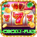 fastest ball in cricket - Casino VIP