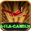 hile ilam tea garden Plus v2.5.8