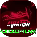 hong kong cricket team Premium v4.6.5