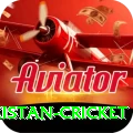india pakistan cricket Master v2.7.5