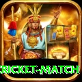 india pakistan cricket match VIP Pro v5.4.8