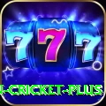india women cricket Game Gold v3.8.6