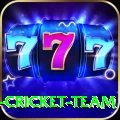 ireland cricket team Deluxe Edition v3.7.3
