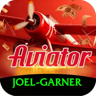 joel garner Pro Max v3.4.0 - 2