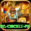 make money betting cricket pk Premium Edition v1.0.0