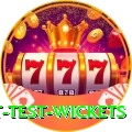 most test wickets Pro v4.2.6