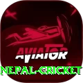 nepal cricket Deluxe v3.1.8