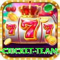 new zealand cricket team Turbo v4.9.1