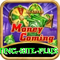 Pakistan Betting Site Mobile Plus