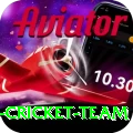 pakistan women cricket team Apps (Tools & Injectors) Pro v4.8.3