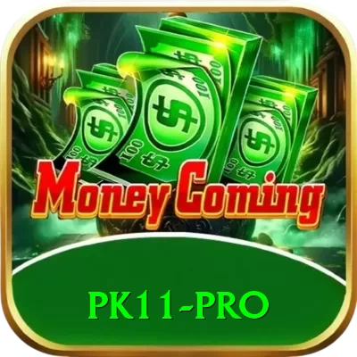 pk11 Premium APK v1.6.3 - 2