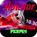pkspin Master v2.4.0