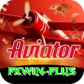 pkwin Plus v5.9.6
