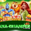 pothana dhampus Gold Edition v1.8.2