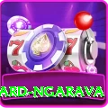 richard ngarava VIP v1.8.2