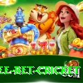 risk free bet cricket Apps (Tools & Injectors) Deluxe v4.8.4
