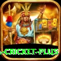 sa cricket Deluxe v2.4.3