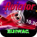 sehwag Max Pro v1.0.5