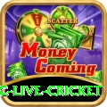 smartcric live cricket Plus Edition v2.8.3
