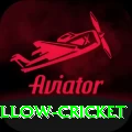 willow cricket Premium v5.5.6