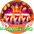 willow cricket Pakistan Plus v2.0.5